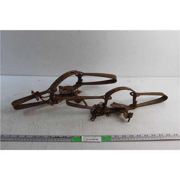 (2) Animal Traps