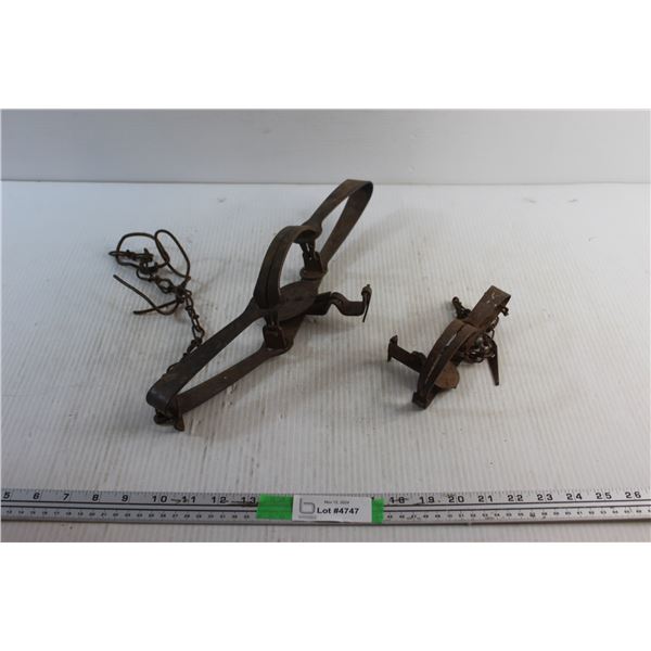 (2) Animal Traps