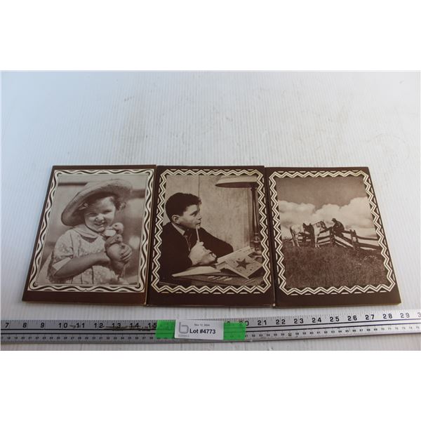 (3) School Notebooks