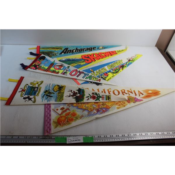 (7) Souvenir Pennants