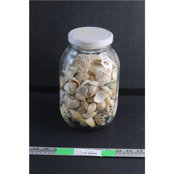 Glass Jar and Assorted Sea Shells