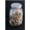 Image 3 : Glass Jar and Assorted Sea Shells