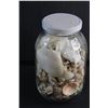 Image 4 : Glass Jar and Assorted Sea Shells
