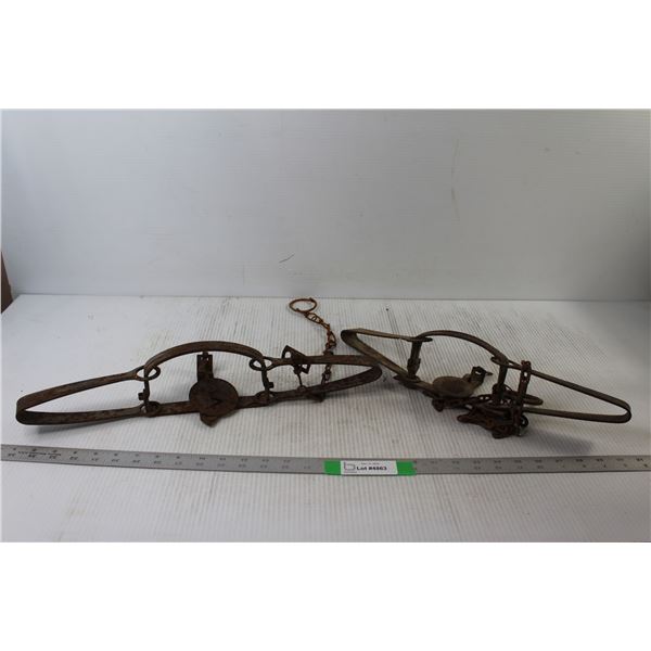 (2) Animal Traps