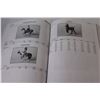 Image 4 : Beswick Animals 6th Edition Book