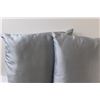 Image 3 : (2) Blue Throw Pillows