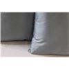 Image 4 : (2) Blue Throw Pillows