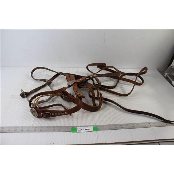 Horse bridle