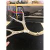 Image 1 : Deer Antler