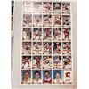 Image 1 : 1992-93 Calgary Flames Uncut Sheet Numbered #3