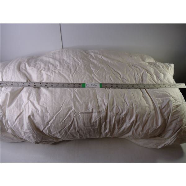 Queen Size Down Quilt as is