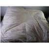 Image 3 : Queen Size Down Quilt as is