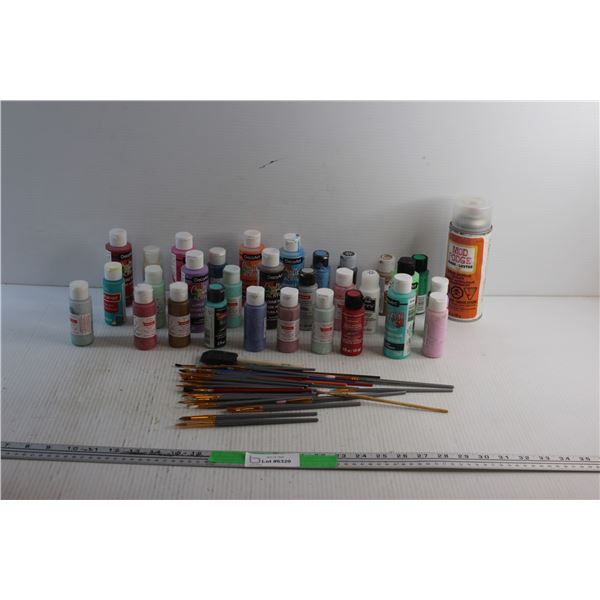 Assorted Acrylic Paint and Paint Brushes