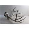Image 4 : Painted Decor Skull with Antlers
