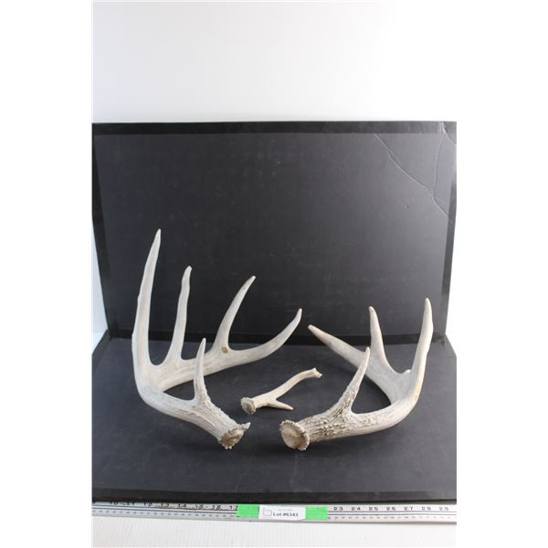 Deer Sheds