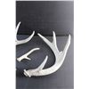 Image 2 : Deer Sheds
