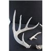 Image 4 : Deer Sheds