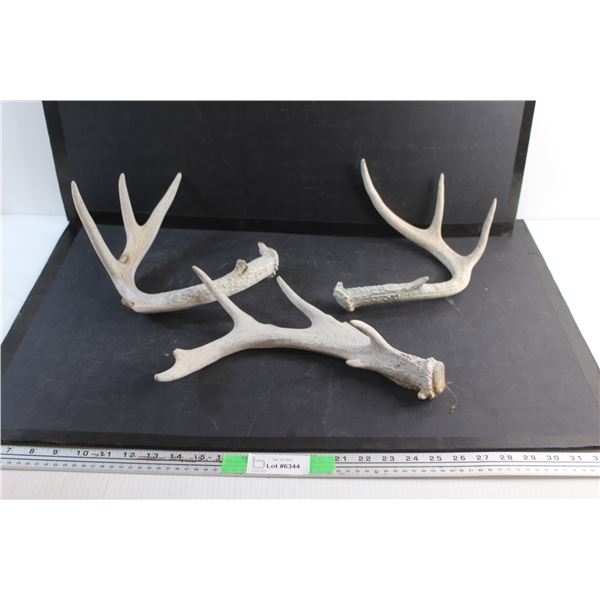 (3) Deer Sheds