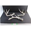 Image 1 : (3) Deer Sheds