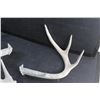 Image 2 : (3) Deer Sheds