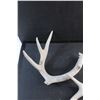 Image 4 : (3) Deer Sheds