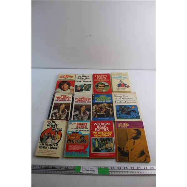 (12) Books - The Partridge Family, The Brady Bunch and Strange Man of the Mountains