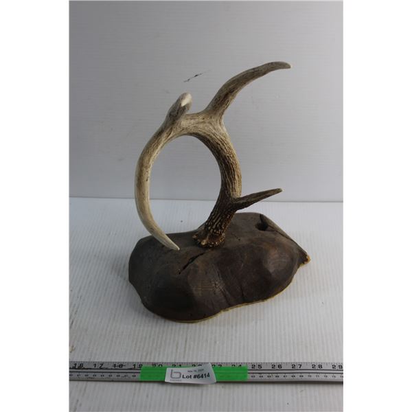 Deer Antler Wall Decor