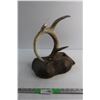 Image 1 : Deer Antler Wall Decor