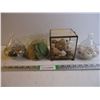 Image 1 : Lot of Assorted Shells for display or crafting