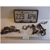 Image 1 : (2) Small Traps, Quebec License Plate and Industrial Chain