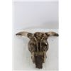 Image 3 : Cow Skull- As Is