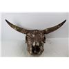 Image 2 : Cow Skull- As Is