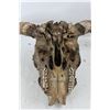 Image 3 : Cow Skull- As Is