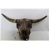 Image 2 : Cow Skull- As Is