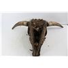 Image 3 : Cow Skull- As Is