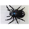 Image 3 : Animal Planet Remote Control Black Widow Spider 9" Dia Approx - With Remote, Scrabble Junior Board G