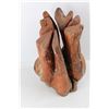 Image 3 : Wood Art Decor From Tree, 17'' x 11'' - Would Make Great Home/ Cabin Decor After A Good Clean