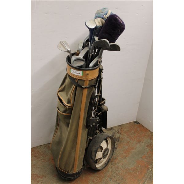 *DynaTour Birdie Gold Bag w/ Various Clubs