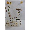 Image 4 : (3) Plastic Pieces Full Of Various Collector Pins