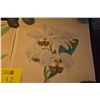 Image 2 : ORCHID PRINTS (2 PCS)