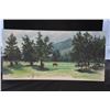Image 2 : PAINTING ON ART BOARD, NORTH SHORE HORSE FARM; FERN PIETSCH (24" X 12")