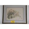 Image 1 : FRAMED ORCHID PRINT (27 1/4" X 22 1/2")