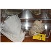 Image 1 : SHELLS (2 PCS)