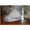 Image 3 : SHELLS (2 PCS)