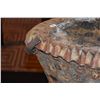 Image 5 : TERRACOTTA ART SCULPTURE (25")