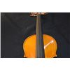 Image 3 : PREMIUM GRADE STUDENT VIOLIN