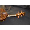 Image 8 : PREMIUM GRADE STUDENT VIOLIN
