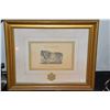 Image 2 : FRAMED PRINTS, THE TIGER, THE CAMEL, THE LION & THE ELEPHANT (4 PCS) (15 3/4" X 13 1/4") (4 PCS)