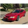Image 8 : STILL FOR SALE CALL 888-296-0528 EXT 102 - 1996 FORD MUSTANG SVT COBRA