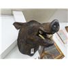 Image 1 : Wild Boar Taxidermy